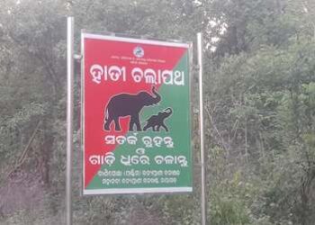 ବିପଦରେ ଗଜରାଜ୍ , ହାତୀଙ୍କ ପାଇଁ ଅ ସୁରକ୍ଷିତ , ହାତୀ କରିଡର