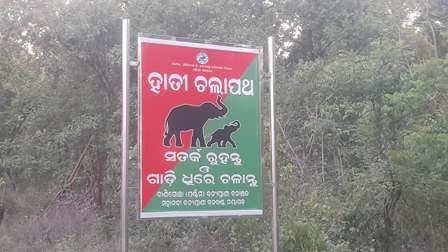 ବିପଦରେ ଗଜରାଜ୍ , ହାତୀଙ୍କ ପାଇଁ ଅ ସୁରକ୍ଷିତ , ହାତୀ କରିଡର