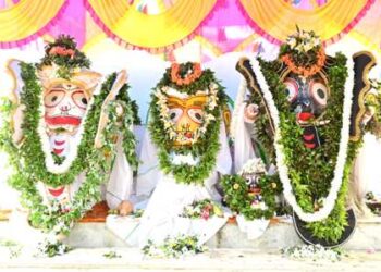 ବାଲିଗୁଡାରେ ଶ୍ରୀଜଗନ୍ନାଥଙ୍କ ଗଜାନନ ବେଶ: ଶତାଧିକ ଶ୍ରଦ୍ଧାଳୁଙ୍କ ସମାଗମ