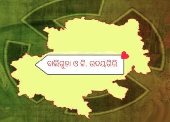 ବାଲିଗୁଡା ଓ ଜି. ଉଦୟଗିରି ବିଧାନସଭା : ଆଉ ଦିନକ ପରେ ଗଣତି, ବଢୁଛି ହୃଦସ୍ପନ୍ଦନ