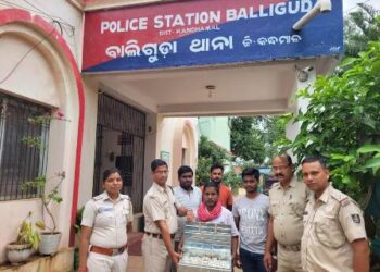 ବାଲିଗୁଡ଼ାରୁ ରୂପା ଅଳଙ୍କାର ଲୁଟିଥିବା ଲୁଟେରା ଗଞ୍ଜାମରୁ ଗିରଫ : ରୂପା ଅଳଙ୍କାର ଜବତ
