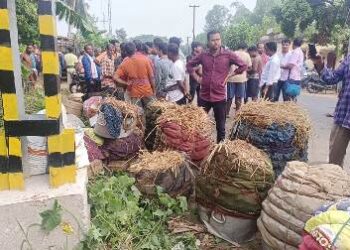 ପାନ ବୋଝେଇ ଗାଡି ଓଲଟି ୨ ମୃତ୍ୟୁ ୬ ଆହାତ