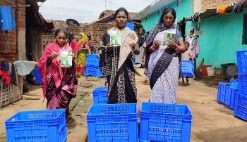ସାଲେପାଲି ଗାଁ ରେ ଚାଷୀଙ୍କ କୁକୁଡ଼ା ଭଡ଼ିରେ ଦୁର୍ବୃତ୍ତ ବିଷ ଦେଇ ଥିବା ଅଭିଯୋଗ : ଶତାଧିକ କୁକୁଡ଼ା ମୃତ, ପୋଲିସ ର ତଦନ୍ତ ଜାରି