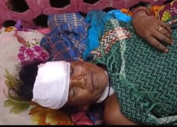 ଜ୍ବାଇଁ ର ଟାଙ୍ଗିଆ ଚୋଟ ରେ ଶାଶୁ ଗୁରୁତର