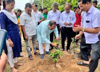 ପଞ୍ଚପଲ୍ଲୀ ବାଉତୀ ସରକାରୀ ଉଚ୍ଚ ବିଦ୍ୟାଳୟର ସାରୁଅ  ଜୟମଙ୍ଗଳ ବନମହୋତ୍ସବ ଓ ସମ୍ବର୍ଦ୍ଧନା ଉତ୍ସବ