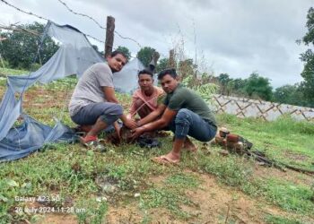 ୟୁଥ ବ୍ଲଡ଼ ଡୋନର ଗ୍ରୁପ ତରଫରୁ ବୃକ୍ଷ ରୋପଣ