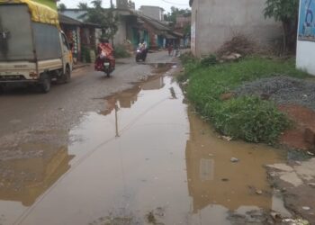 ଜବରଦଖଲକାରୀଙ୍କ କବଜାରେ ସରକାରୀ ଜମି