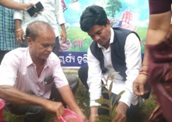 ଆଚାର୍ଯ୍ୟ ହରିହର ବିଦ୍ୟାପୀଠରେ ବନ ମହୋତ୍ସବ ପାଳନ