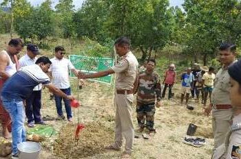 ୭୫ତମ ବନମହୋତ୍ସବ ପାଳିତ