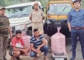 ଅଟୋରୁ ୮୨ କେଜି ଗଞ୍ଜେଇ ଜବତ, ୨ ଗିରଫ