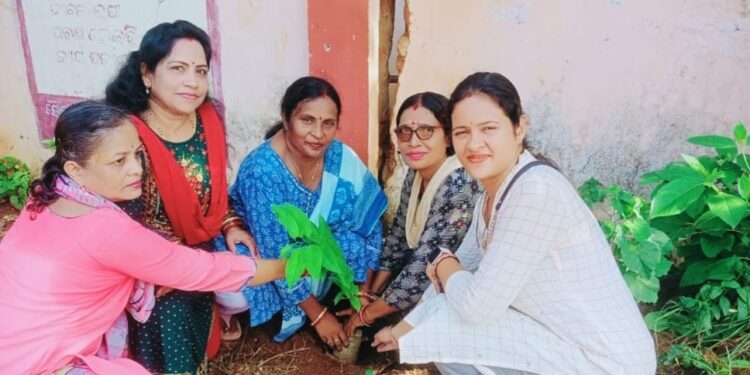 ଆକାଂକ୍ଷା ମହିଳା ସଙ୍ଗଠନ ତରଫରୁ ମାଆ ପାଇଁ ଗଛଟିଏ କାର୍ଯ୍ୟକ୍ରମ ର ଶୁଭାରମ୍ଭ
