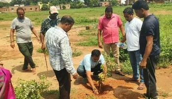 ଜଟଣୀ ବିଜେପି ପକ୍ଷରୁ ବୃକ୍ଷ ରୋପଣ