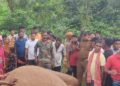  ଦନ୍ତାହାତୀ ର ମୃତ୍ୟୁ