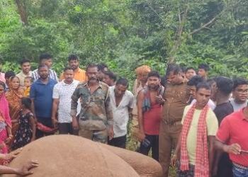  ଦନ୍ତାହାତୀ ର ମୃତ୍ୟୁ
