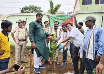 ସଂପୁରରେ ୭୫ତମ ବନ ମହୋତ୍ସବ ପାଳିତ