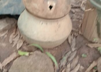 ମୋହନା ଅଞ୍ଚଳରେ ଅବକାରୀ ଓ ପୋଲିସ ର ମିଳିତ ଚଡାଉ ..