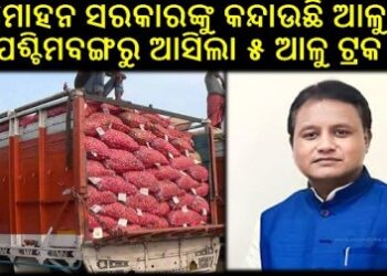 ମୋହନ ସରକାରଙ୍କୁ କନ୍ଦାଉଛି ଆଳୁ : ପଶ୍ଚିମବଙ୍ଗରୁ ଆସିଲା ୫ ଆଳୁ ଟ୍ରକ