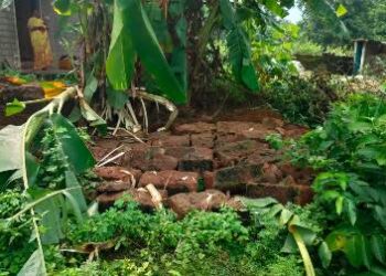 ହାତୀ ଦଳା ଚକଟାରେ ପରିବା ଫସଲ ଓ କଦଳୀ ଗଛ ନଷ୍ଟ ସହ  ପାଚେରୀ ଭାଙ୍ଗିଲା 