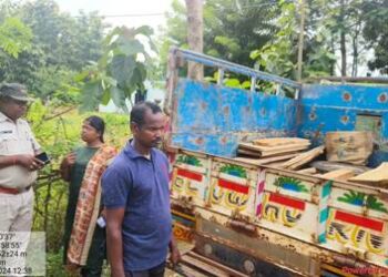 ବୈରୀ ଜଙ୍ଗଲ ବିଭାଗ ଦ୍ୱାରା ଚୋରା ଶାଗୁଆନ ପଟା ଜବତ