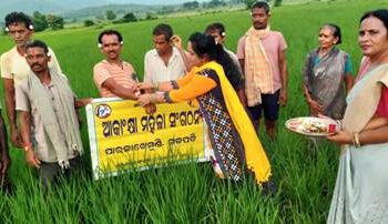 ପାରଳାଖେମୁଣ୍ଡି ଉପକଣ୍ଠ ରାଣୀପେଣ୍ଠା ଗ୍ରାମ ଠାରେ ଆକାଂକ୍ଷା ମହିଳା ସଙ୍ଗଠନ ତରଫରୁ ରକ୍ଷା ବନ୍ଧନ କାର୍ଯ୍ୟକ୍ରମ
