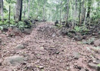 ସ୍ୱାଧୀନତାର ୭୭ ବର୍ଷ ପରେ ମଧ୍ୟ ବିକାଶ ଠୁ ବହୁ ଦୂରରେ ବାଲମାହା, ଡାମେରୀ ଗ୍ରାମ : ସନ୍ଧ୍ୟା ହେଲେ ତାଟି କବାଟ ପଡ଼ିଯାଏ : ଡ଼ିବିରୀ ଆଲୁଅ ସାହା ଭରସା