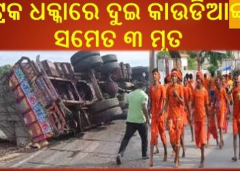 ଟ୍ରକ ଧକ୍କାରେ ଦୁଇ କାଉଡିଆଙ୍କ ସମେତ ୩ ମୃତ