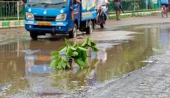 ଗୋପ ର ମୁଖ୍ୟ ରାସ୍ତାରେ ମଝିରେ ଖାଲ ବିପଦ ସଂକେତ ଭଳି କାର୍ଯ୍ୟ କରୁଛି ଗଛର ଡାଳ : କାର୍ଯ୍ୟ କରିବାକୁ ବିଭାଗୀୟ ଅଧିକାରୀ ଙ୍କୁ ମିଳୁନି ବେଳେ  