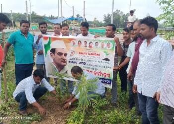 କାକଟପୁର ଯୁବ କଂଗ୍ରେସ ପକ୍ଷରୁ ବୃକ୍ଷରୋପଣ କାର୍ଯ୍ୟକ୍ରମ