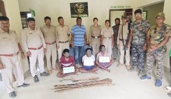 ବେଆଇନ ଶିକାର କାର୍ଯ୍ୟକଳାପ ପାଇଁ ତିନିଜଣ ଶିକାରୀ ସିମିଲିପାଲରେ ଗିରଫ