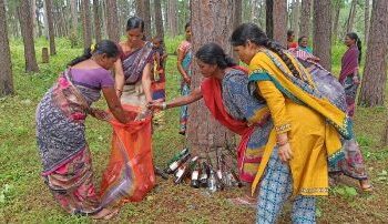ବିଶ୍ୱ ପର୍ଯ୍ୟଟନ ଦିବସରେ ଶହ ଶହ ପ୍ଲାଷ୍ଟିକ ଓ କାଚ ବୋତଲ : ଚିନ୍ତାରେ ପରିବେଶବିତ୍‌