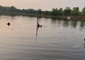 ନଦୀ ପାର୍‌ ହେଉଥିବାବେଳେ ପ୍ରଖର ସ୍ରୋତରେ ଭାସି ବୃଦ୍ଧଙ୍କ ମୃତ୍ୟୁ