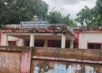 ବାଲିଗୁଡା କ୍ଷୁଦ୍ର ଜଳସେଚନ କାର୍ଯ୍ୟାଳୟ ଲଟା ବୁଦାରେ ପରିପୂର୍ଣ୍ଣ : ଭଙ୍ଗାରୁଜା ଅବସ୍ଥାରେ ଘାଇ, ଚିନ୍ତାରେ ଚାଷୀ