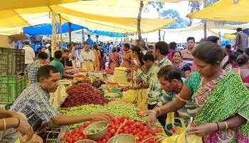 ଖପ୍ରାଖୋଲ ବ୍ଲକ୍ ଅଞ୍ଚଳ ରେ ନୂଆଖାଇ ପାଇଁ ଉତ୍ସବ ମୁଖର : ଦୋକାନ ବଜାର ସବୁଠି ଭିଡ଼