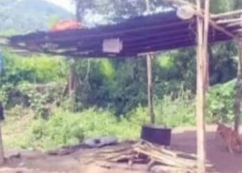 ନାହିଁ ନାହିଁରେ ଚାଲିଛି ଗୁଲୁବା ପଞ୍ଚାୟତ ହାଇସ୍କୁଲ