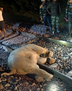 ବନ୍ଧମୁଣ୍ଡା : ଟ୍ରେନ୍ ଧକ୍କାରେ ହାତୀ ମୃତ