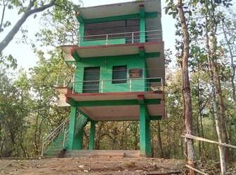ଆକ୍ସନ୍ ମୋଡ୍ ରେ ବନାଂଚଳ ଅଧିକାରୀ