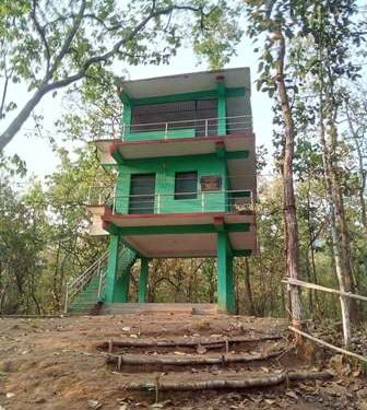 ଆକ୍ସନ୍ ମୋଡ୍ ରେ ବନାଂଚଳ ଅଧିକାରୀ