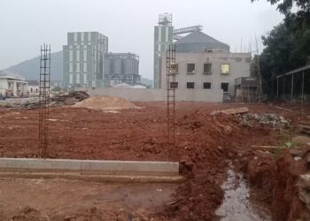 ଆଇବି ହାଚେରୀର ଦୁଷିତ ପାଣିରେ ବ୍ଯାପୁଛି ଚର୍ମରୋଗ