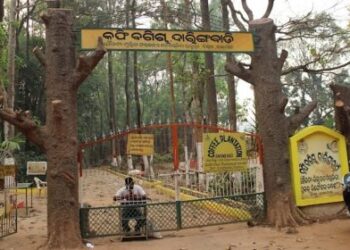 ଦାରିଙ୍ଗବାଡି କଫି ବଗିଚା ଉନ୍ନତି କରଣ ନା ରେ ଲକ୍ଷାଧିକ ଟଙ୍କା ହରିଲୁଟ ଅଭିଯୋଗ : ତଦନ୍ତ ଦାବୀ