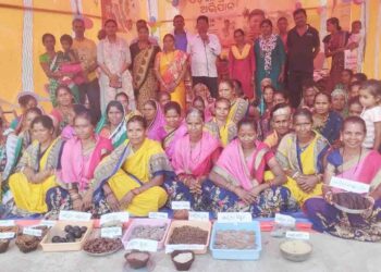 ସ୍ୱୟଂ ସହାୟକ ଗୋଷ୍ଠି ମାନଙ୍କ ଦ୍ୱାରା ସୁଗଡବାଡିରେ ପୁଷ୍ଟି ଖାଦ୍ୟ ମେଳା