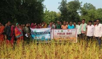 ମାଟିଆଭଟା ଓ ତୁର୍ଲା ଗାଁ ରେ କ୍ଷୁଦ୍ର ଶସ୍ୟ କ୍ଷେତ୍ର ଦିବସ ପାଳିତ