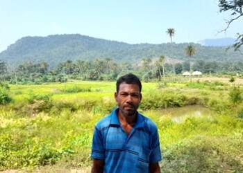ବେଡି ଉପରେ କୋରଡା ମାଡ଼ ,ବାତ୍ୟା ଦାନାର କ୍ଷୟକ୍ଷତି ପରେ , ଜଂଗଲି ବାର୍ହା ଉପଦ୍ରବ, ଶହଶହ ଏକର ଧାନ ଫସଲ ନଷ୍ଟ