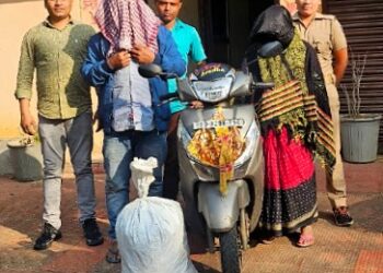 ନାମନେଲେ ଗଂଜେଇ ଚାଲାଣକାରୀ ଶାଶୁ ଜ୍ବାଇଁ