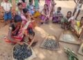 ଆମ୍ବ ଟାକୁଆ ଜାଉ ର ପୁନରାବୃତ୍ତି : ଚାରି ମାସ ହେବ ମିଳିନି ଚାଉଳ – ଖୁର୍ସା, କରଡ଼ି ଓ ମକାରେ ବିତୁଛି ଆଦିବାସୀଙ୍କ ଜୀବନ