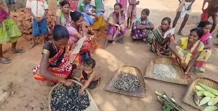 ଆମ୍ବ ଟାକୁଆ ଜାଉ ର ପୁନରାବୃତ୍ତି : ଚାରି ମାସ ହେବ ମିଳିନି ଚାଉଳ – ଖୁର୍ସା, କରଡ଼ି ଓ ମକାରେ ବିତୁଛି ଆଦିବାସୀଙ୍କ ଜୀବନ