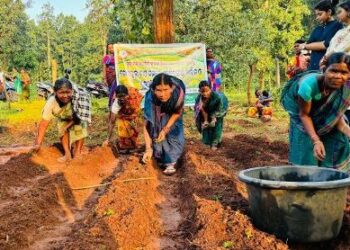 ମୁଖ୍ୟମନ୍ତ୍ରୀ ଜନ ଜାତି ଜୀବିକା ମିଶନ ପକ୍ଷରୁ ଗେଣ୍ଡୁ ଫୁଲ ଚାଷ ନିମନ୍ତେ ତାଲିମ ପ୍ରଦାନ