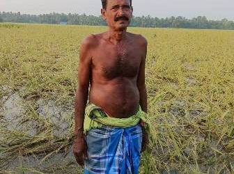 ଜଂଗଲୀ ଜନ୍ତୁଙ୍କ ଉପଦ୍ରବ : ଚାଷୀକୁଳ ସ୍ତବ୍ଧ