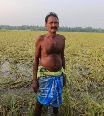 ଜଂଗଲୀ ଜନ୍ତୁଙ୍କ ଉପଦ୍ରବ : ଚାଷୀକୁଳ ସ୍ତବ୍ଧ