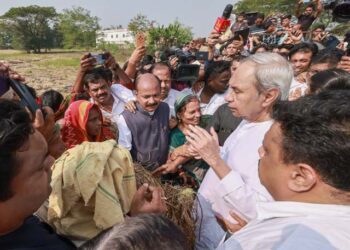 ହିଞ୍ଜିଳିରେ ନବୀନ : ଉଜୁଡ଼ା ଖେତରୁ ଚାଷୀଙ୍କ ଗଜା ଧାନଗଛ ଦେଖିଲେ