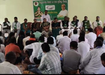 ଫୁଲବାଣୀ ରେ ବିଜେଡି ପ୍ରତିଷ୍ଠା ଦିବସ ପାଳିତ
